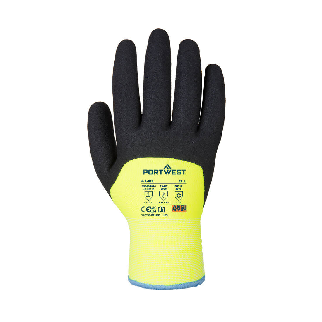 A146 Yellow Back