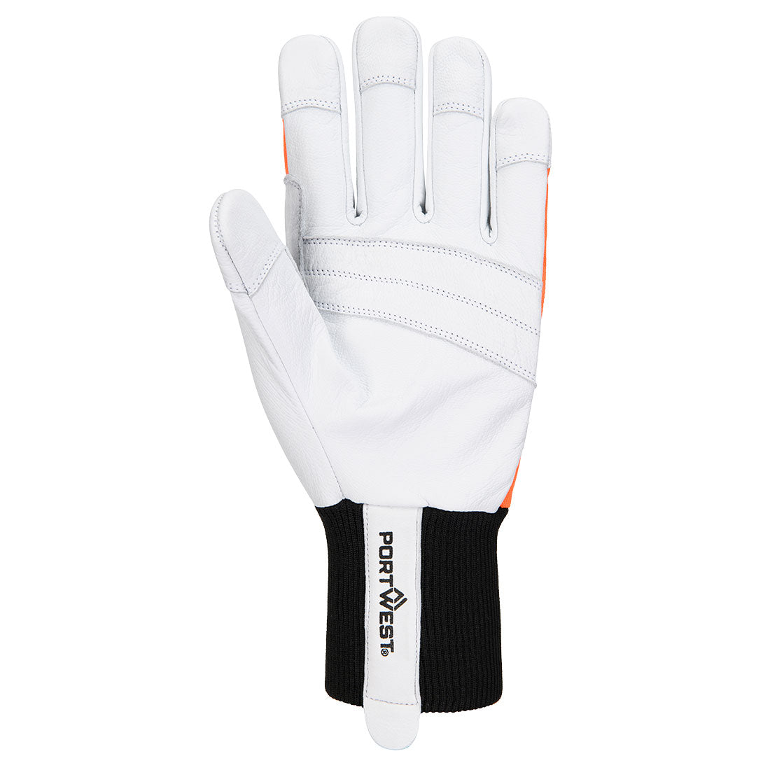 A291 Orange Back