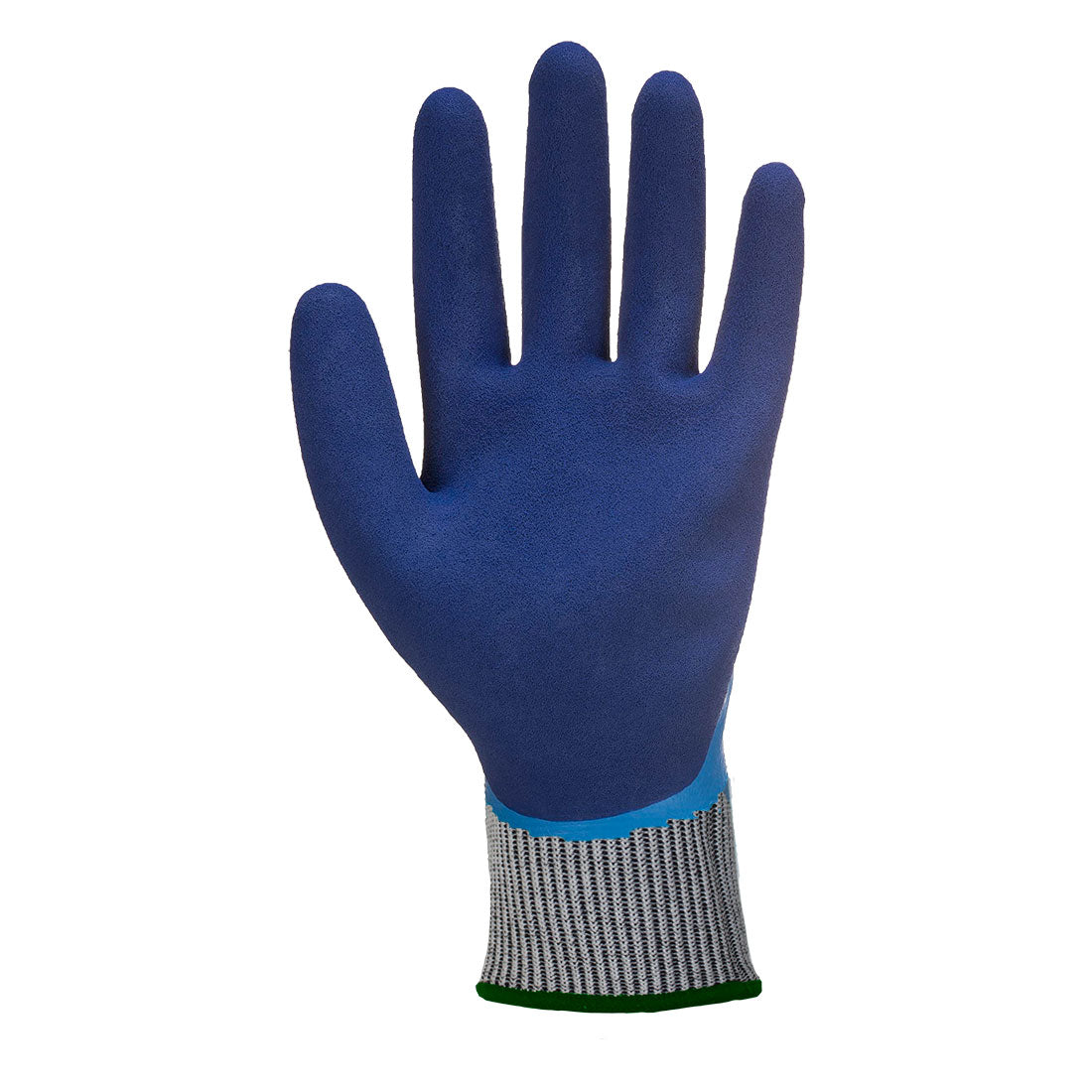 AP81 Blue Back