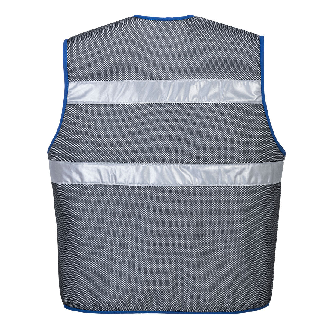 CV01 Grey Back