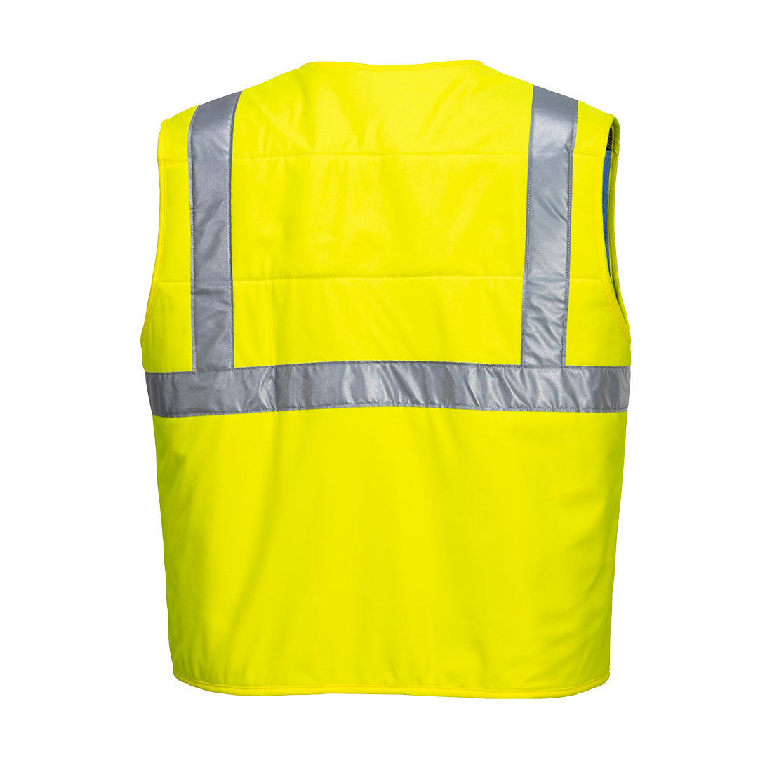CV02 Yellow Back