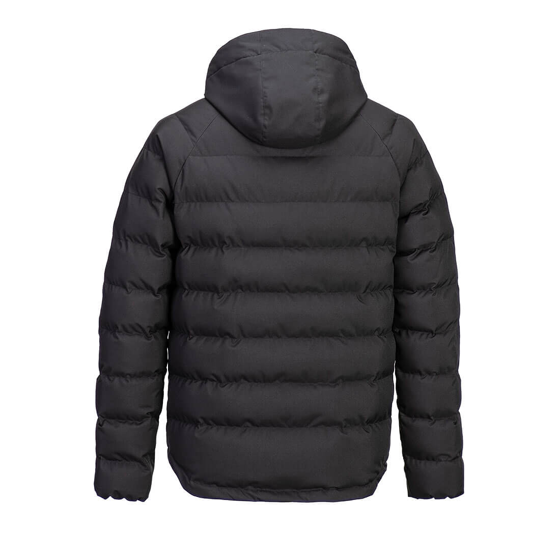 DX468 Black Back
