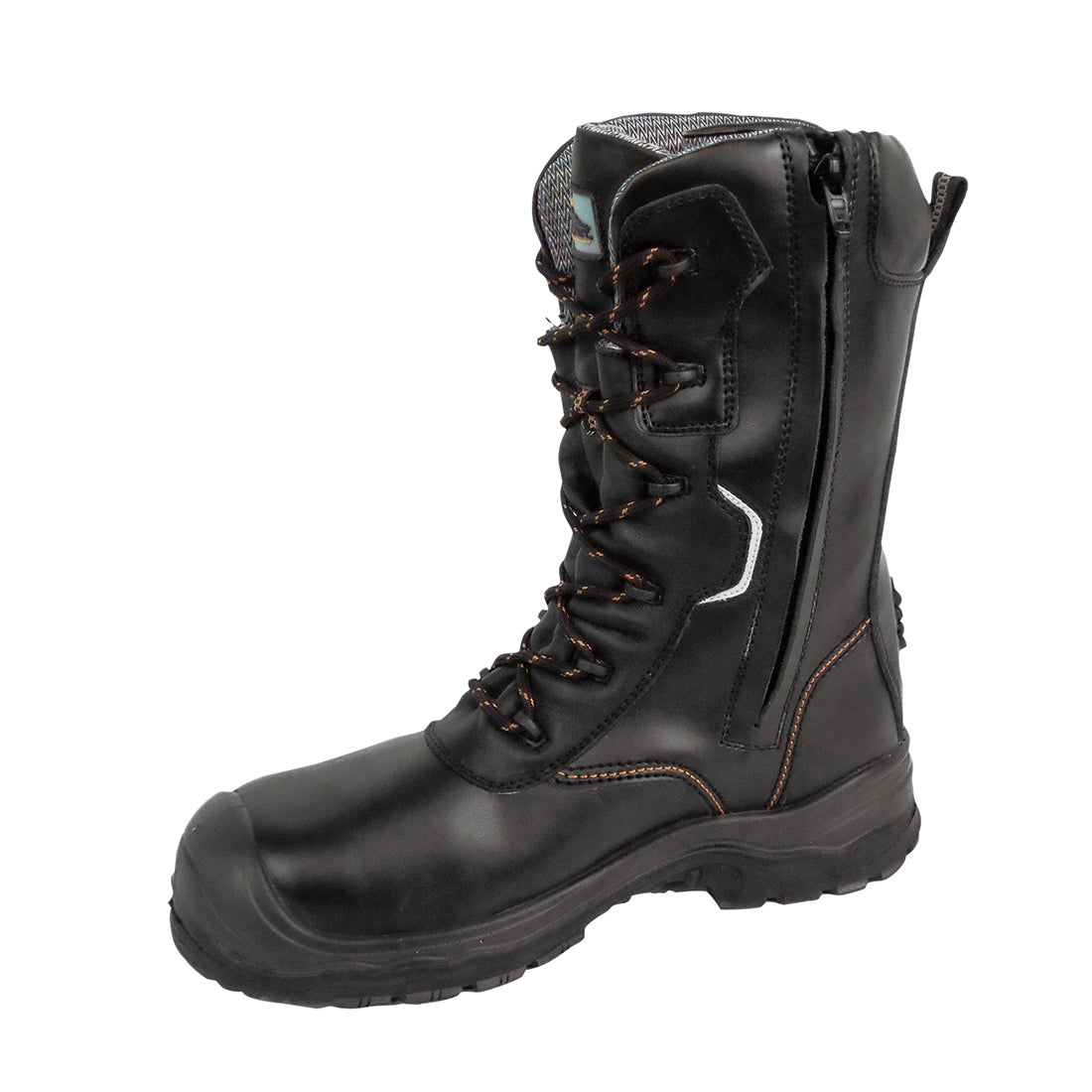 FD01 Black Back