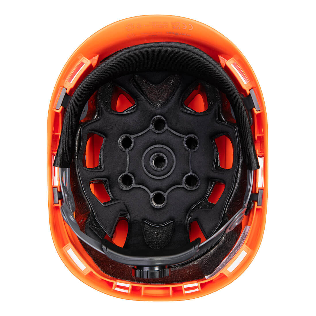 PS73 Orange Back