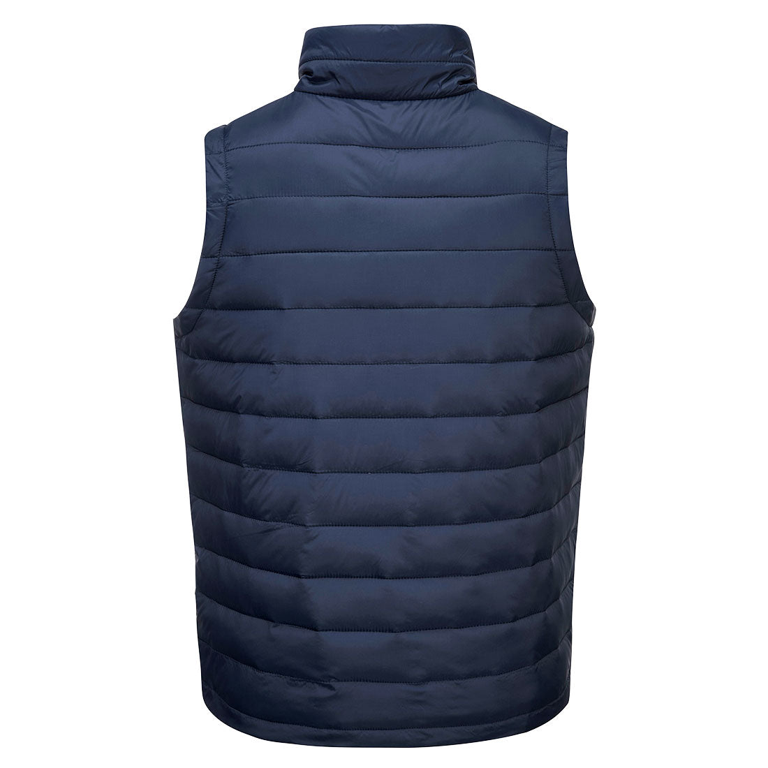 S544 Navy Back