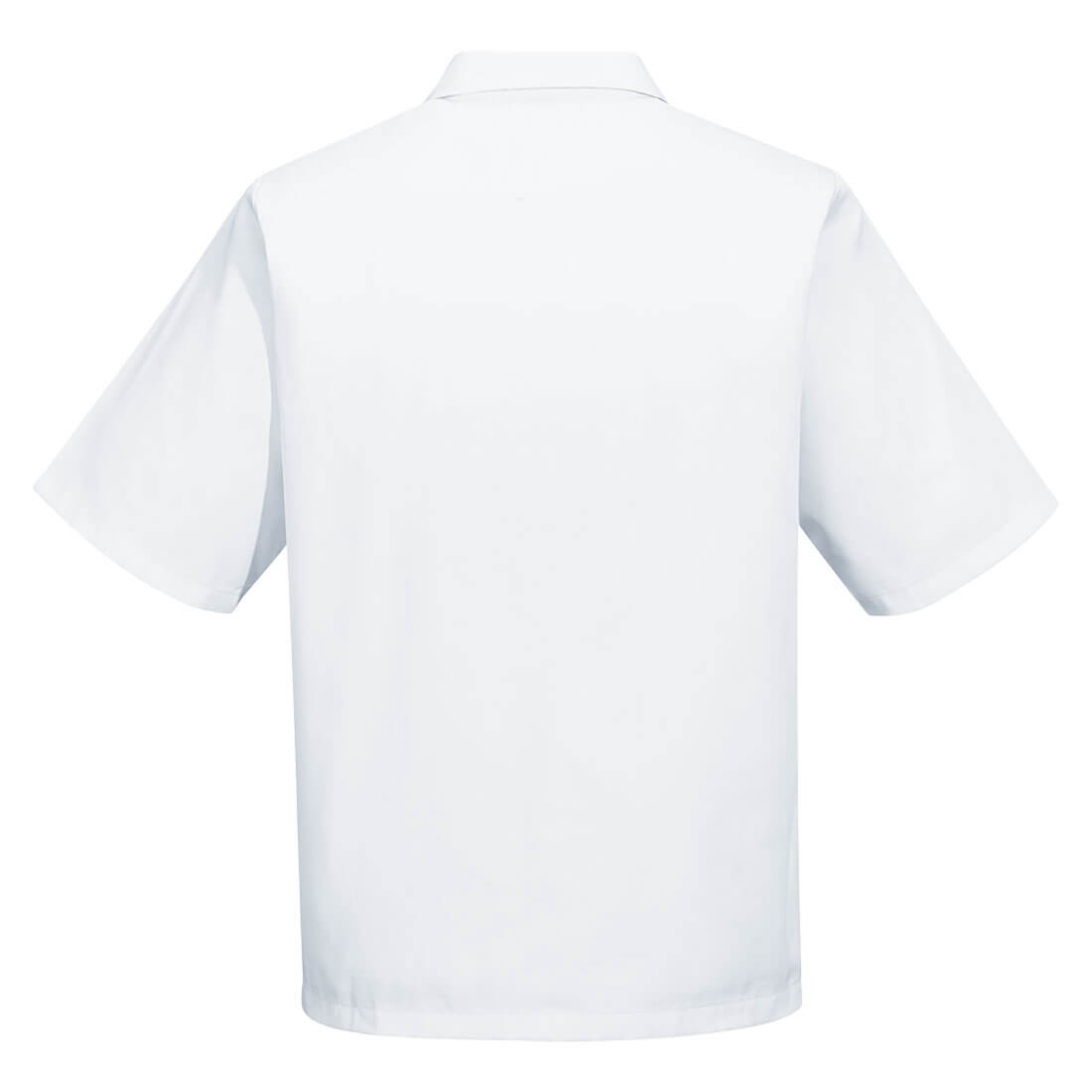 2209 White Back