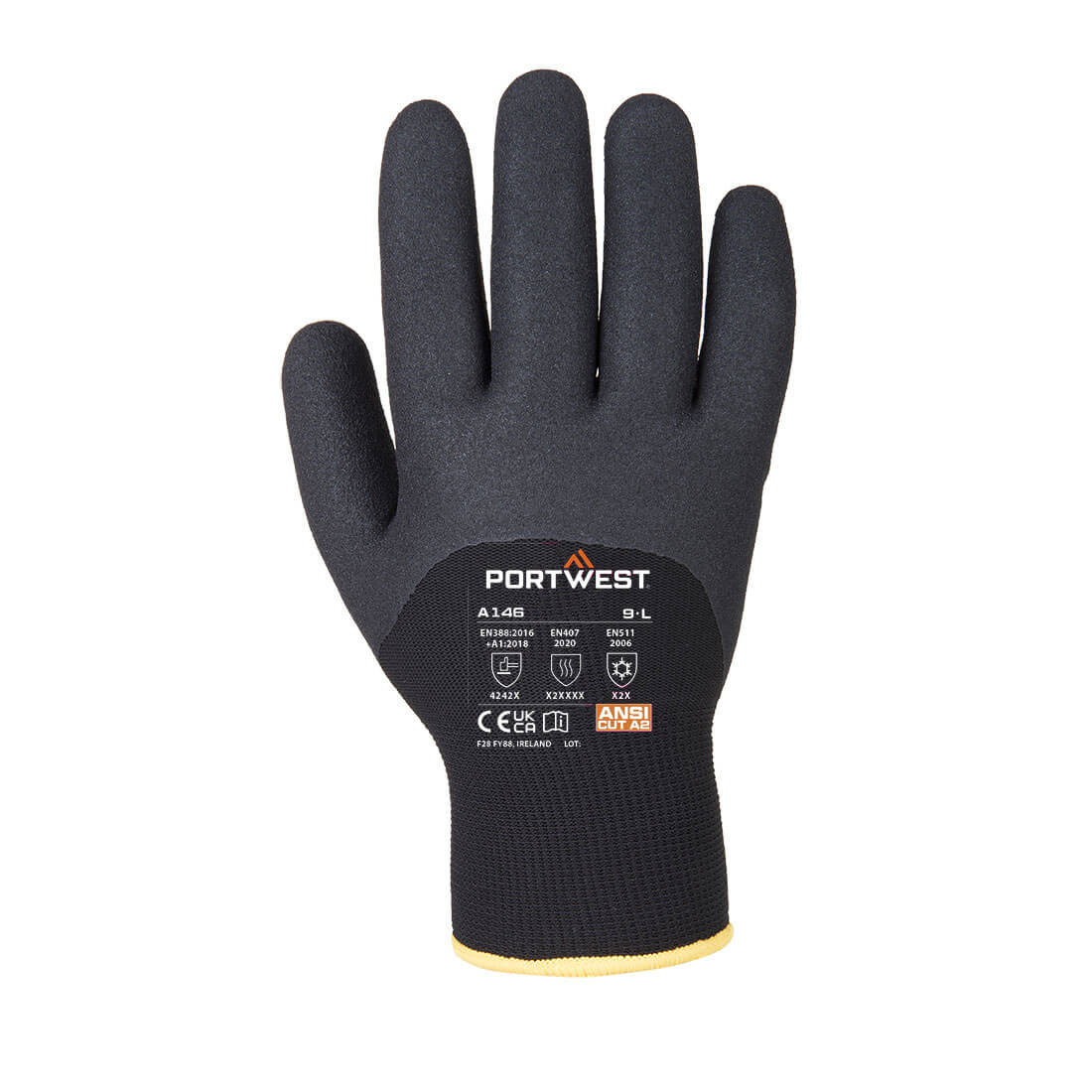 A146 Black Back