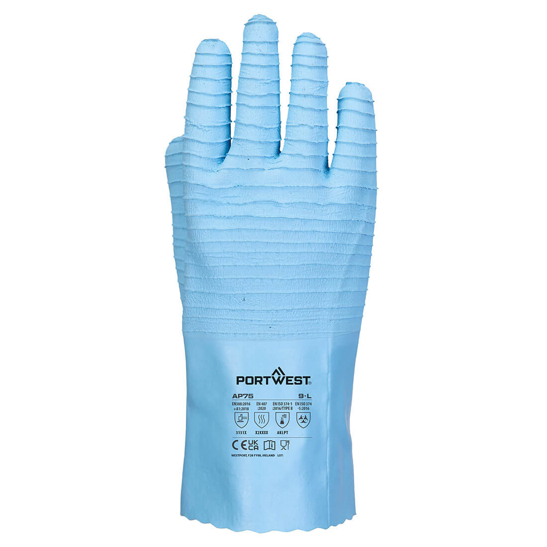 AP75 Blue Back