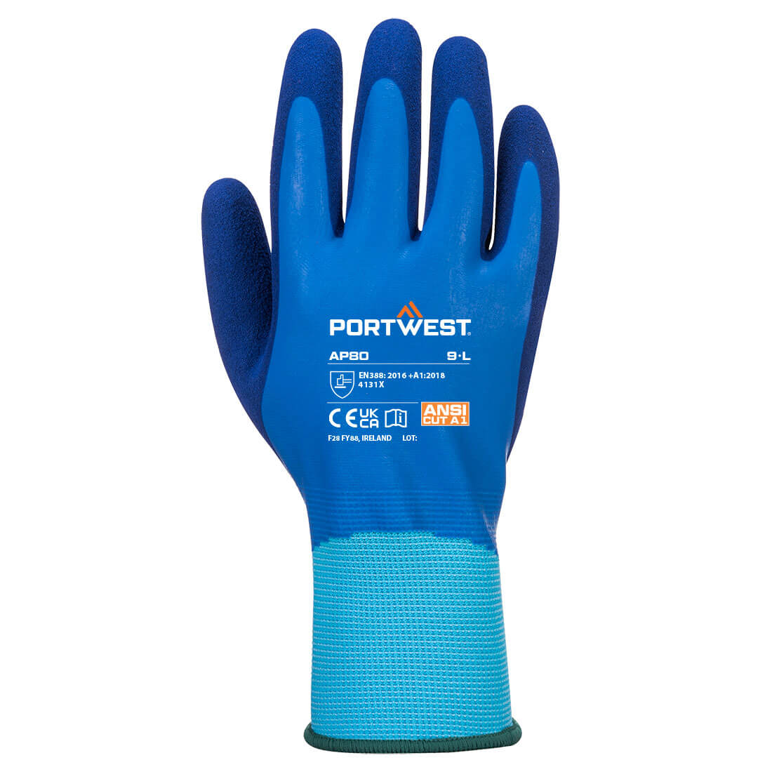 AP80 Blue Back