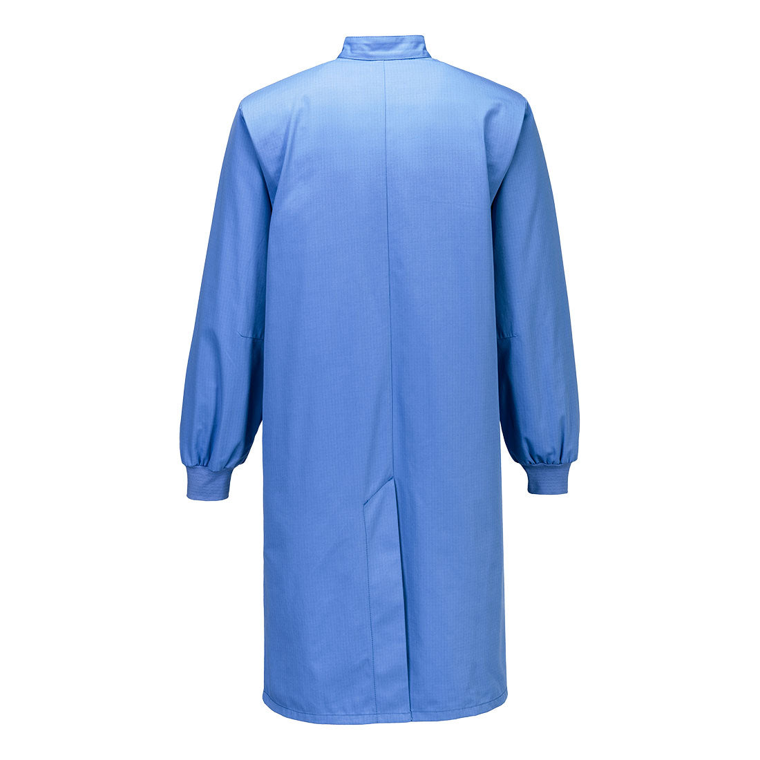 AS15 Hamilton Blue Back