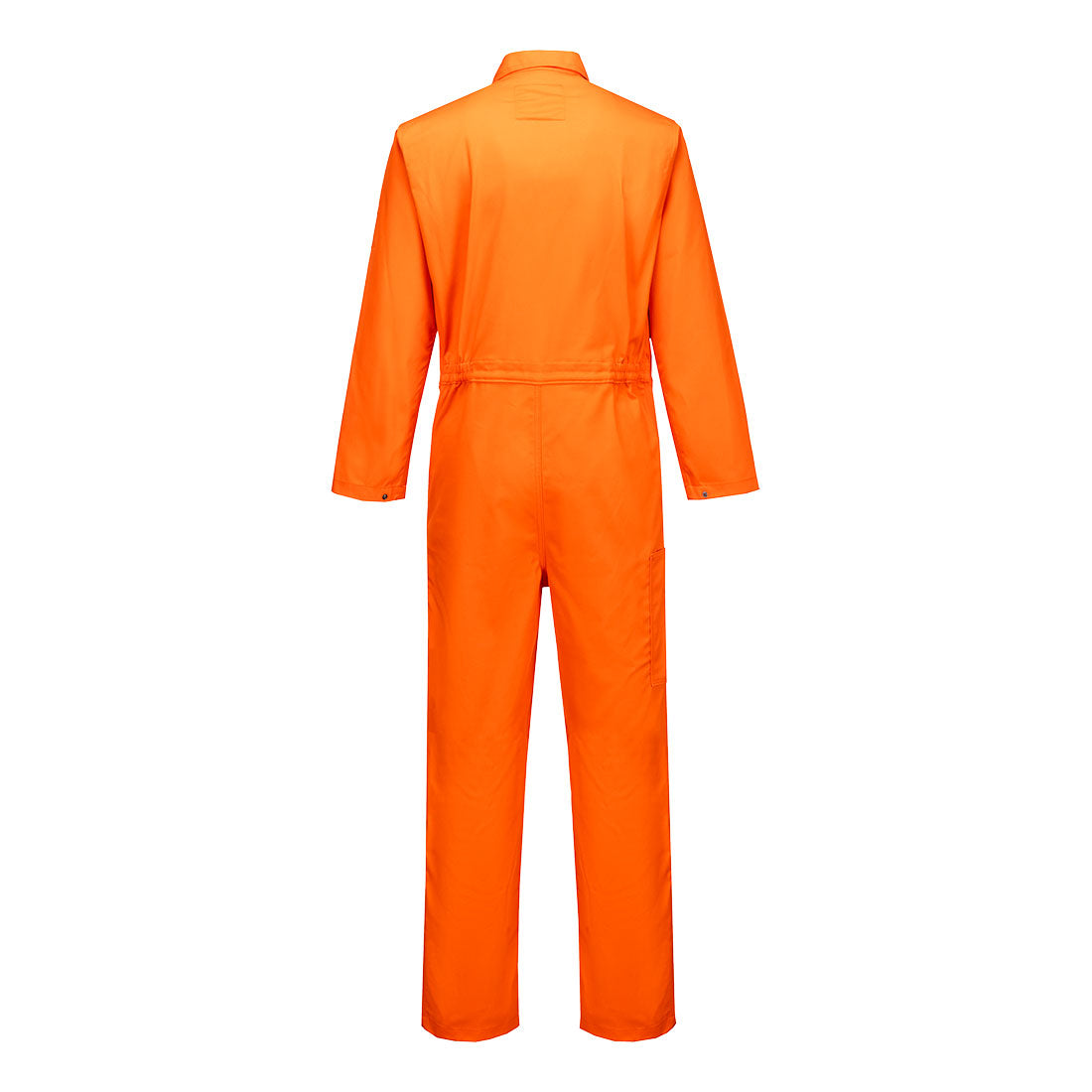 BIZ1 Orange Back