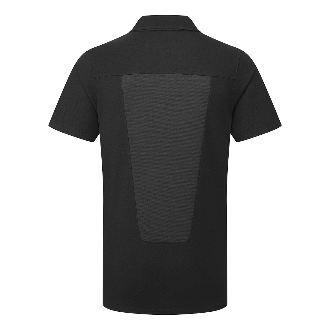 C211 Black Back