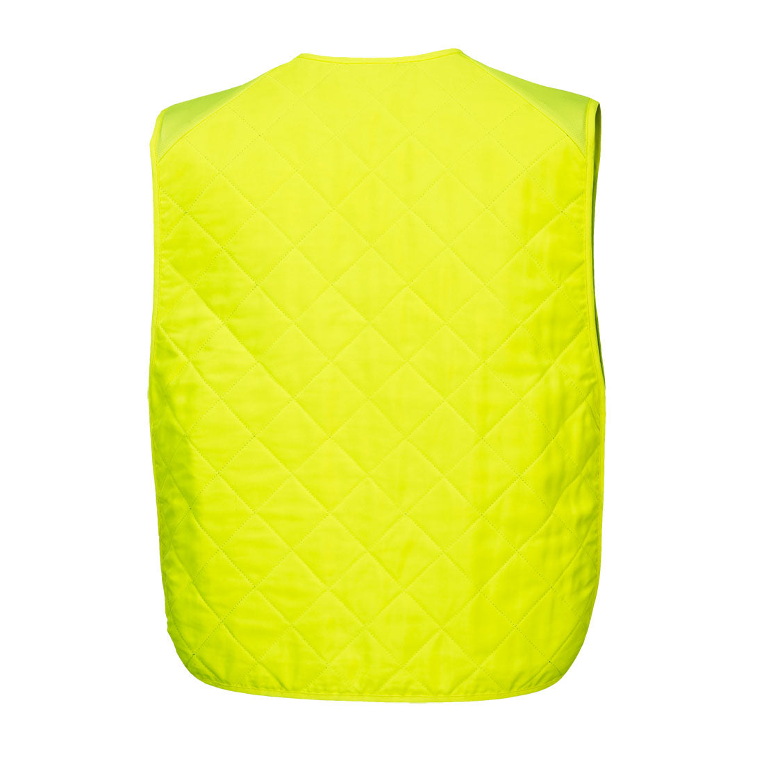 CV09 Yellow Back