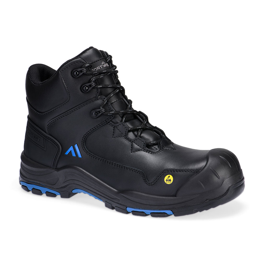 FC18 Black/Blue Back