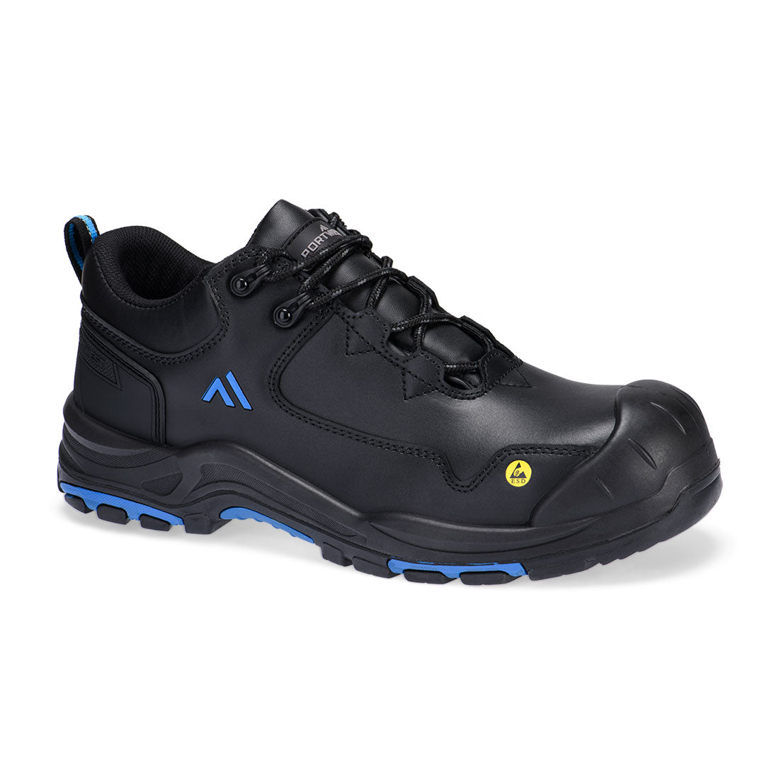 FC19 Black/Blue Back