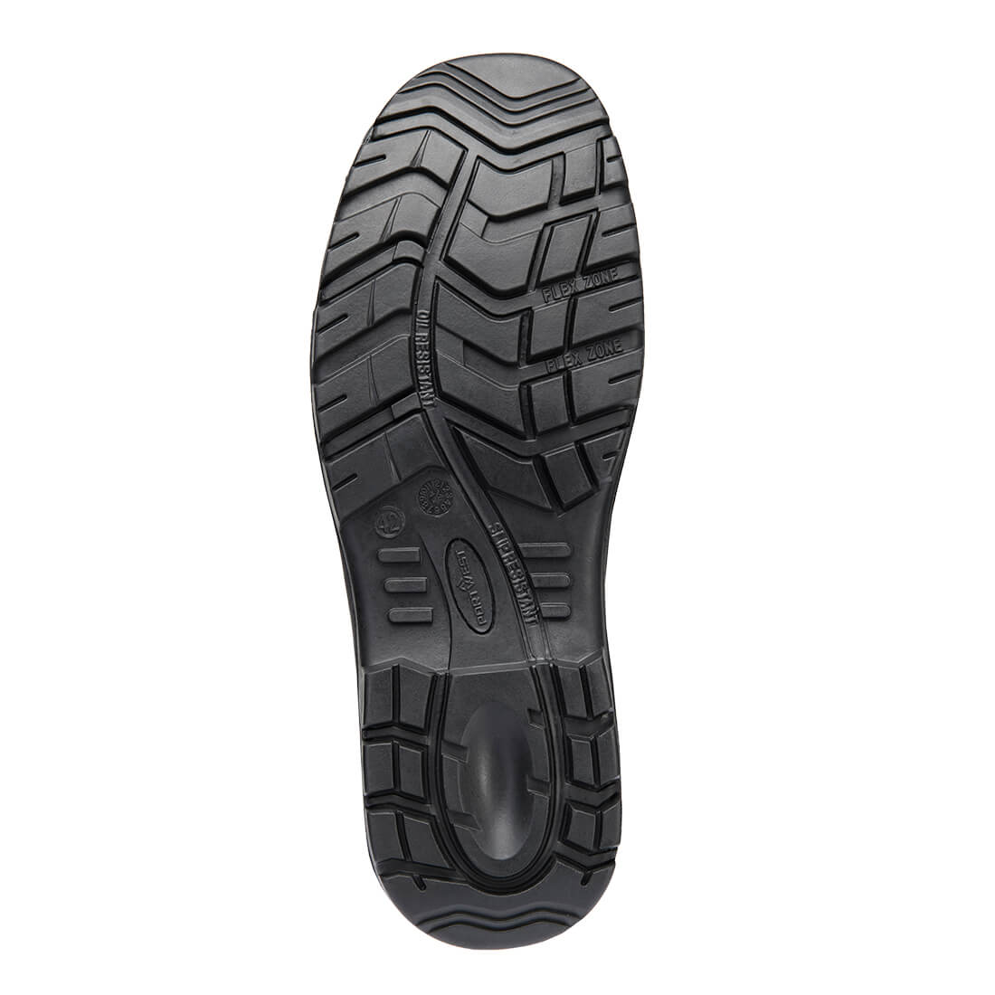 FD10 Black Back