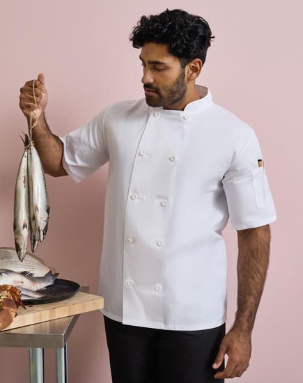 Premier Short Sleeve Chef's Jacket - PR656 - Premier product photo