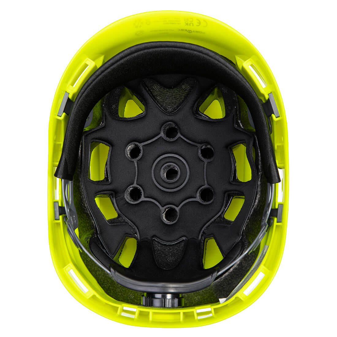 PS73 Yellow Back