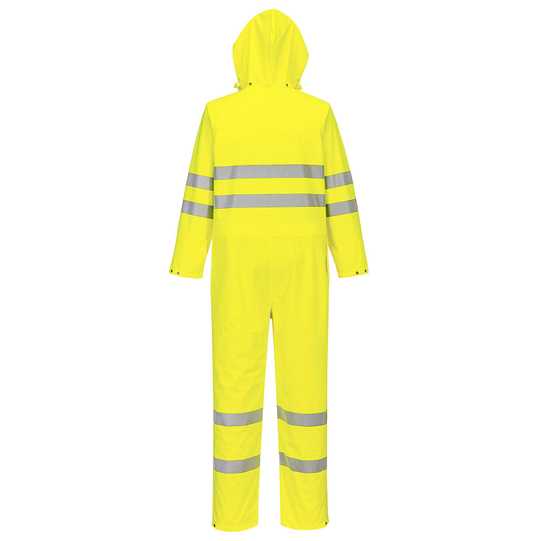 S495 Yellow Back