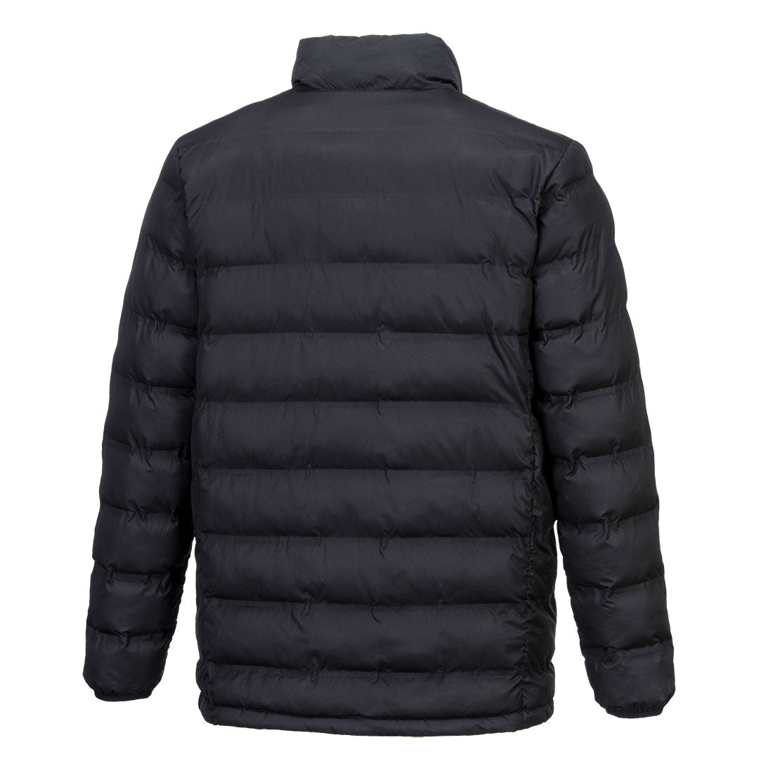 S547 Black Back