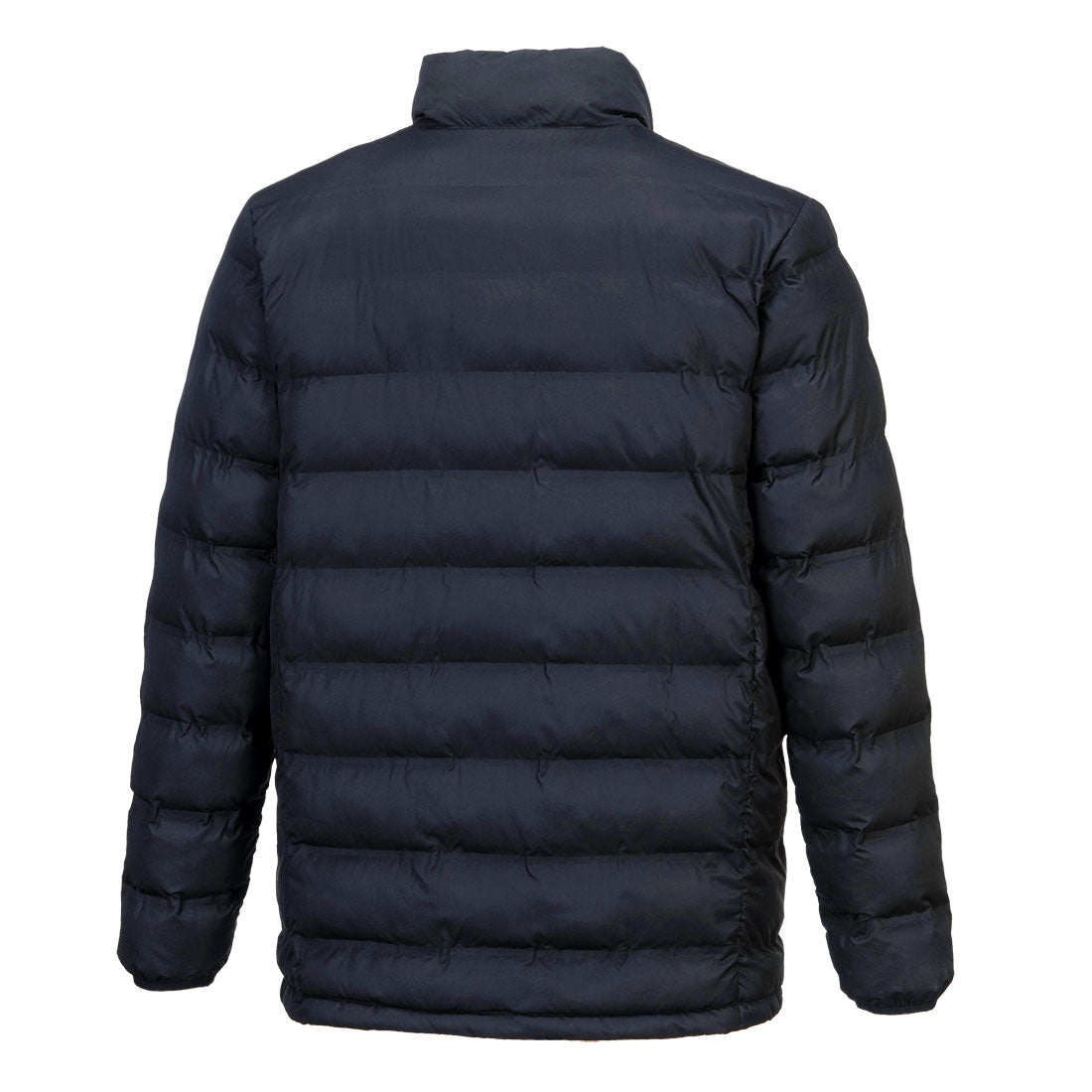 S547 Navy Back