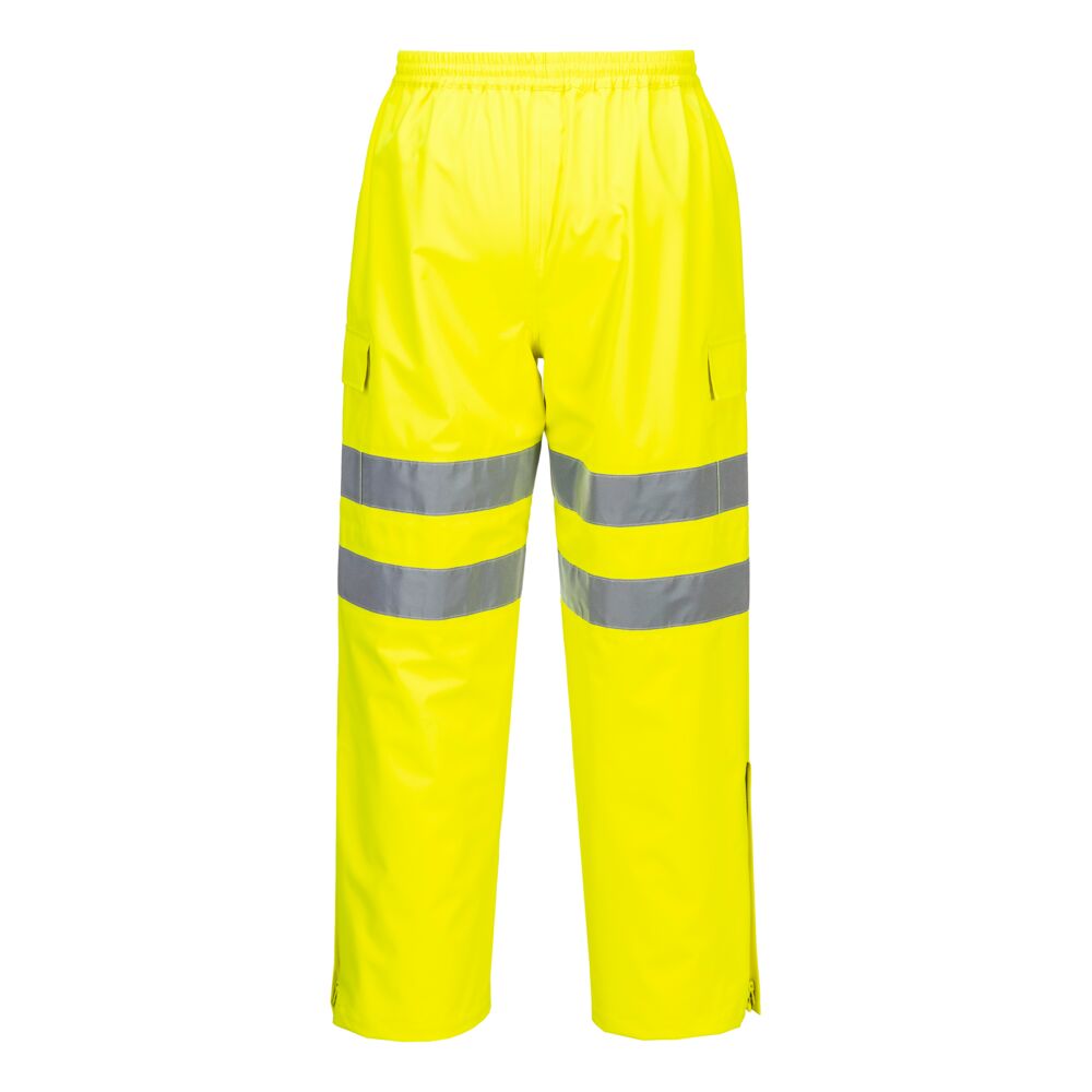 S595 Yellow Back