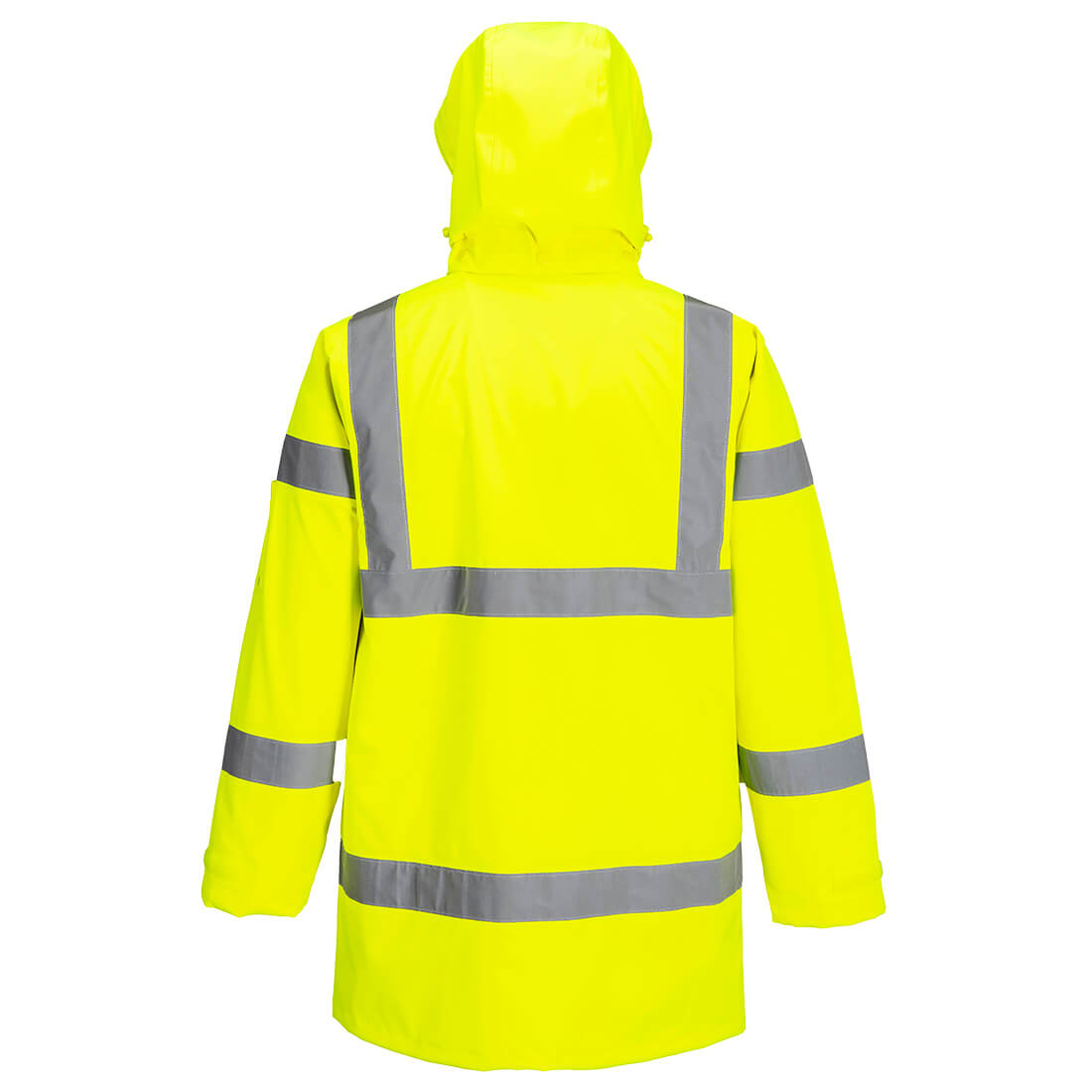 S599 Yellow Back